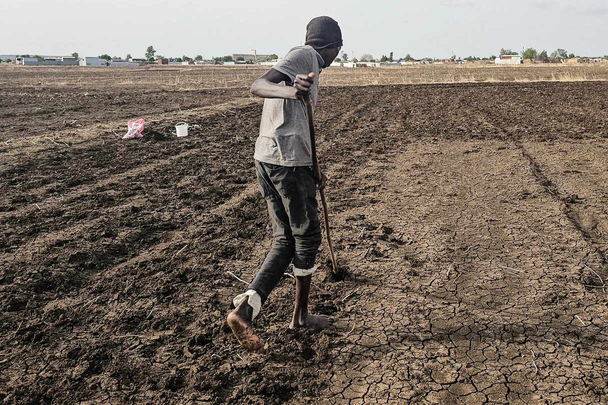 El Niño could cost Africa $20bn – here’s where it will hit hardest
