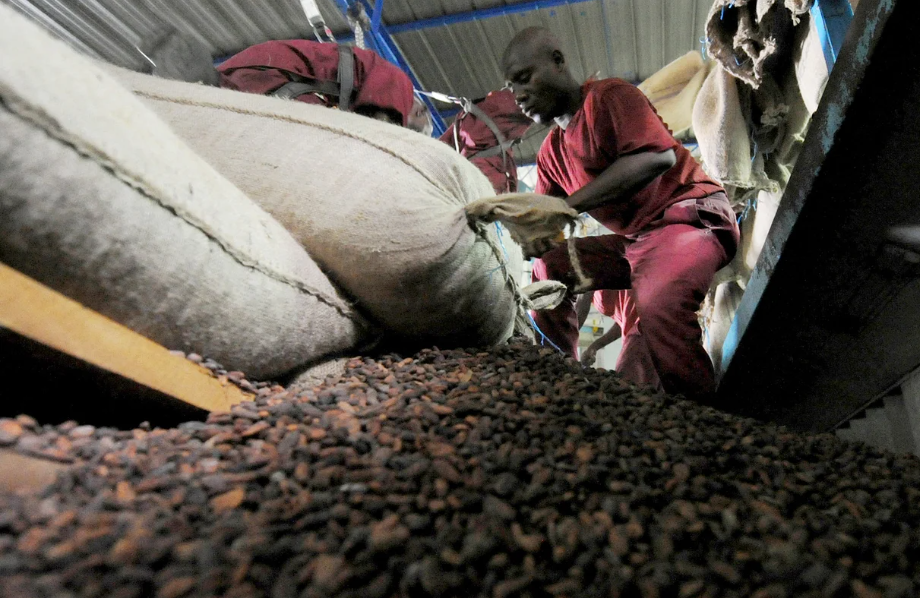 Cocoa’s odd couple drift apart as Ghana outbids Côte d’Ivoire