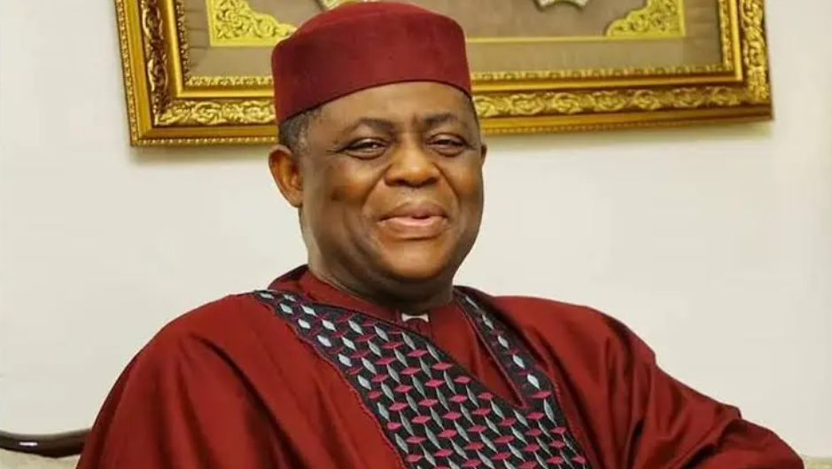 Fani-Kayode heads into Nigeria-South Africa diplomatic storm