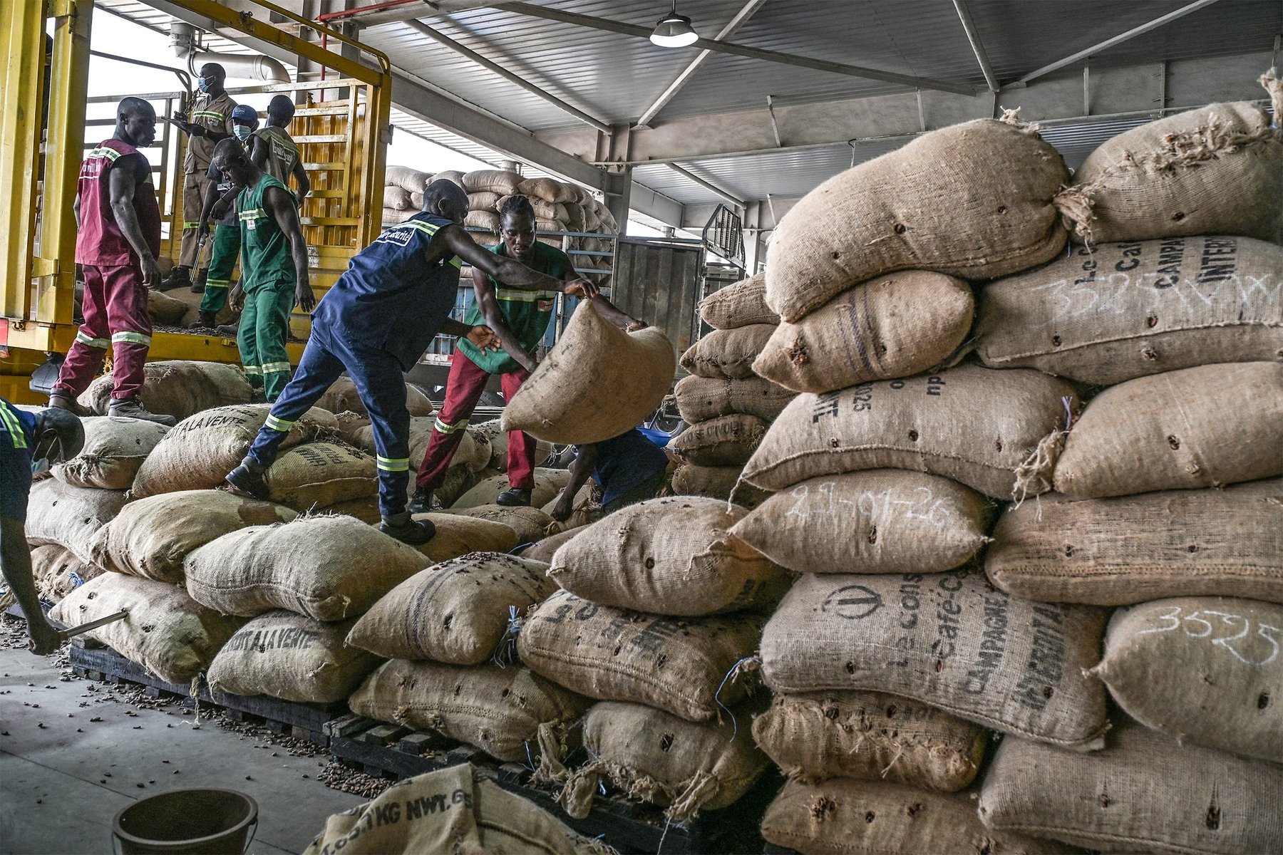 Abidjan'da Transcao'da kakao çekirdeklerinin boşaltılması, 29 Ocak 2026.