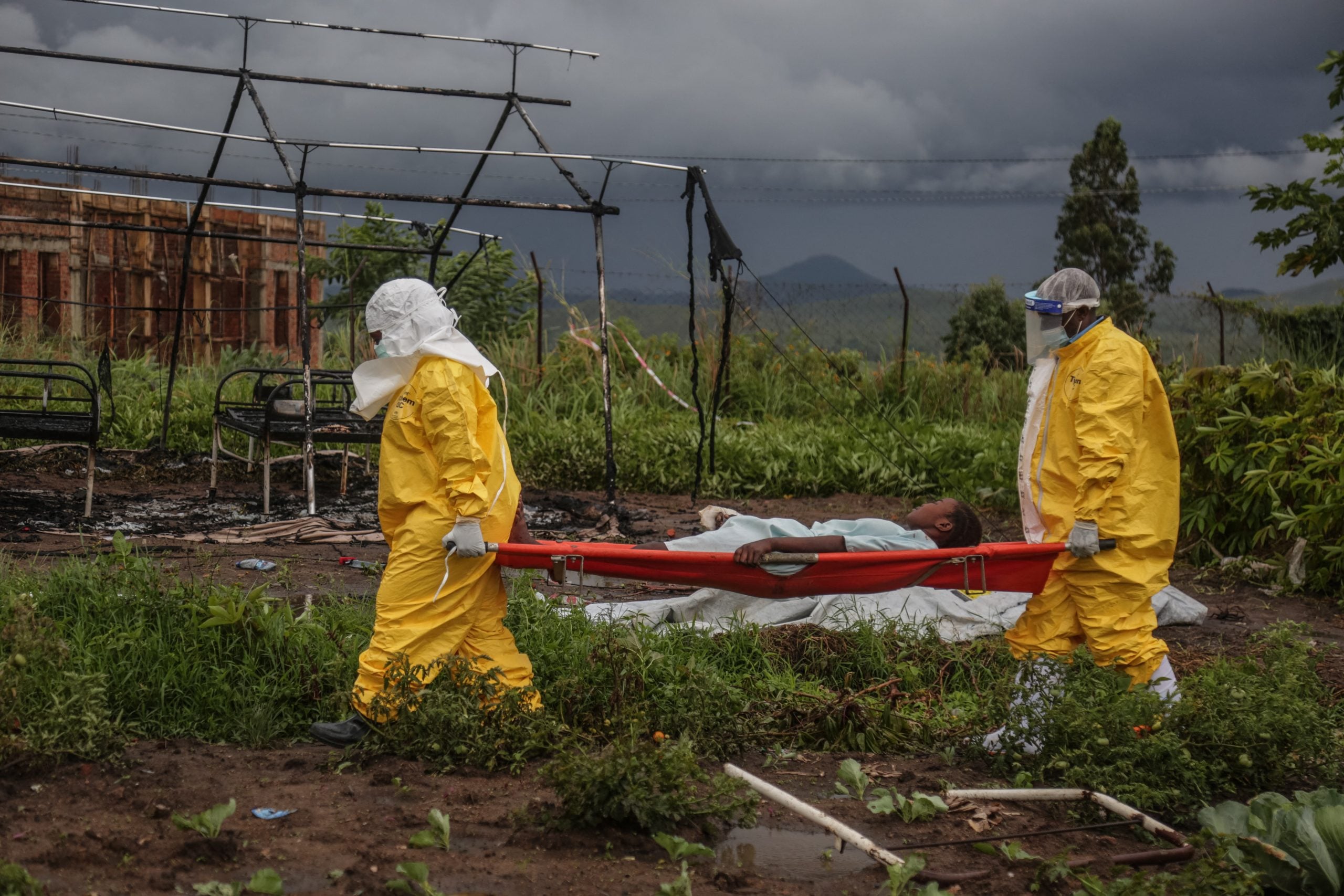 Musk under fire as Lancet links USAID cuts to 14 million deaths