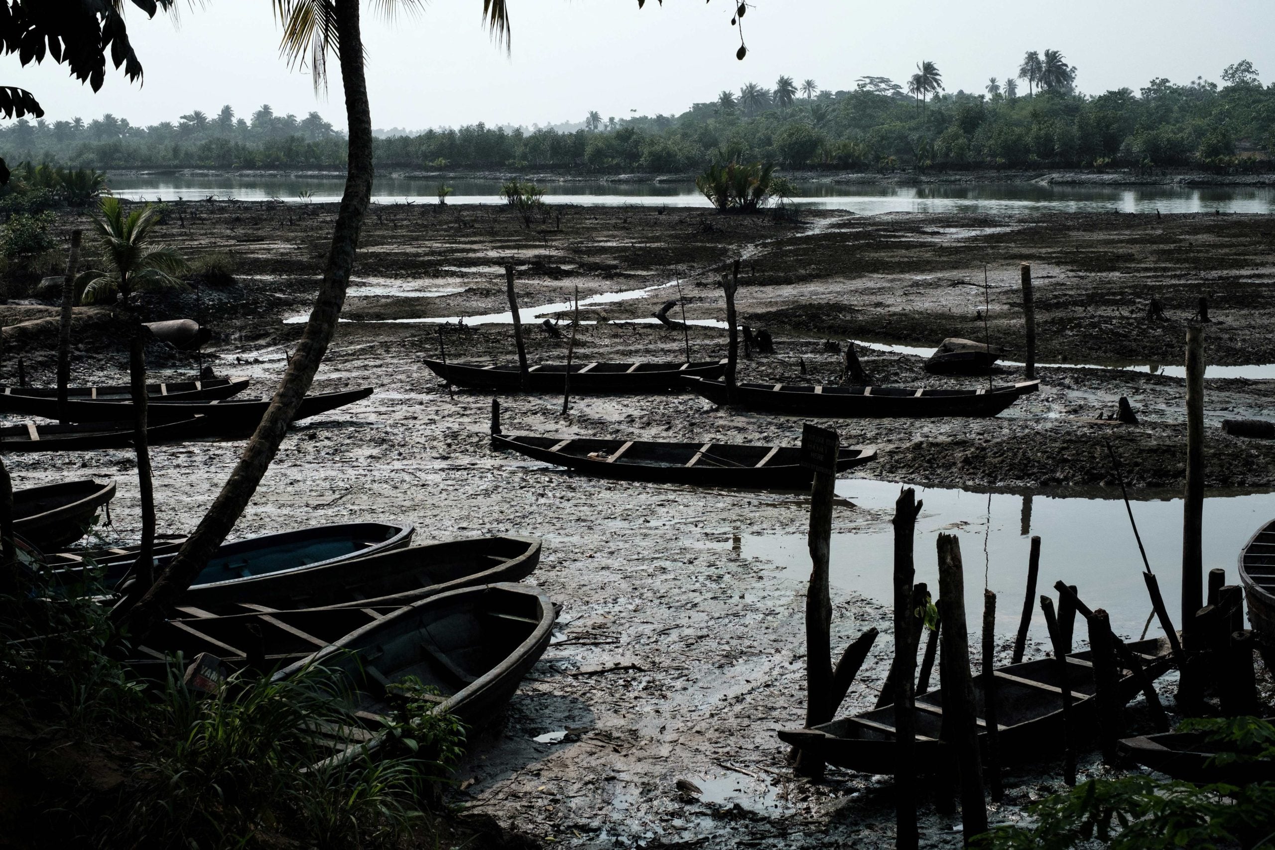 Mangled mangroves and the urgency of a just transition in Nigeria