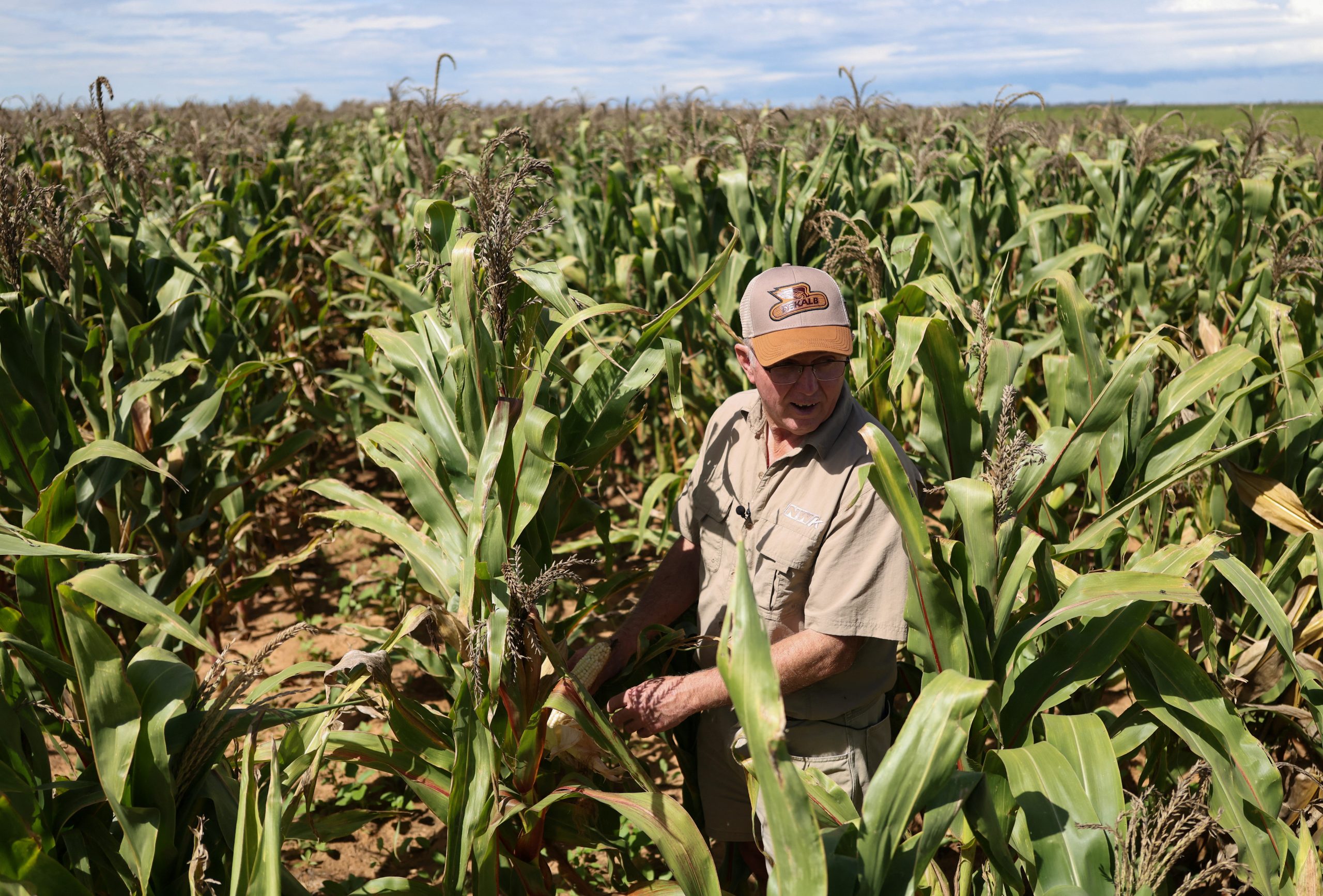 South Africa’s grain fortress faces regional deficit strain due to super El Niño