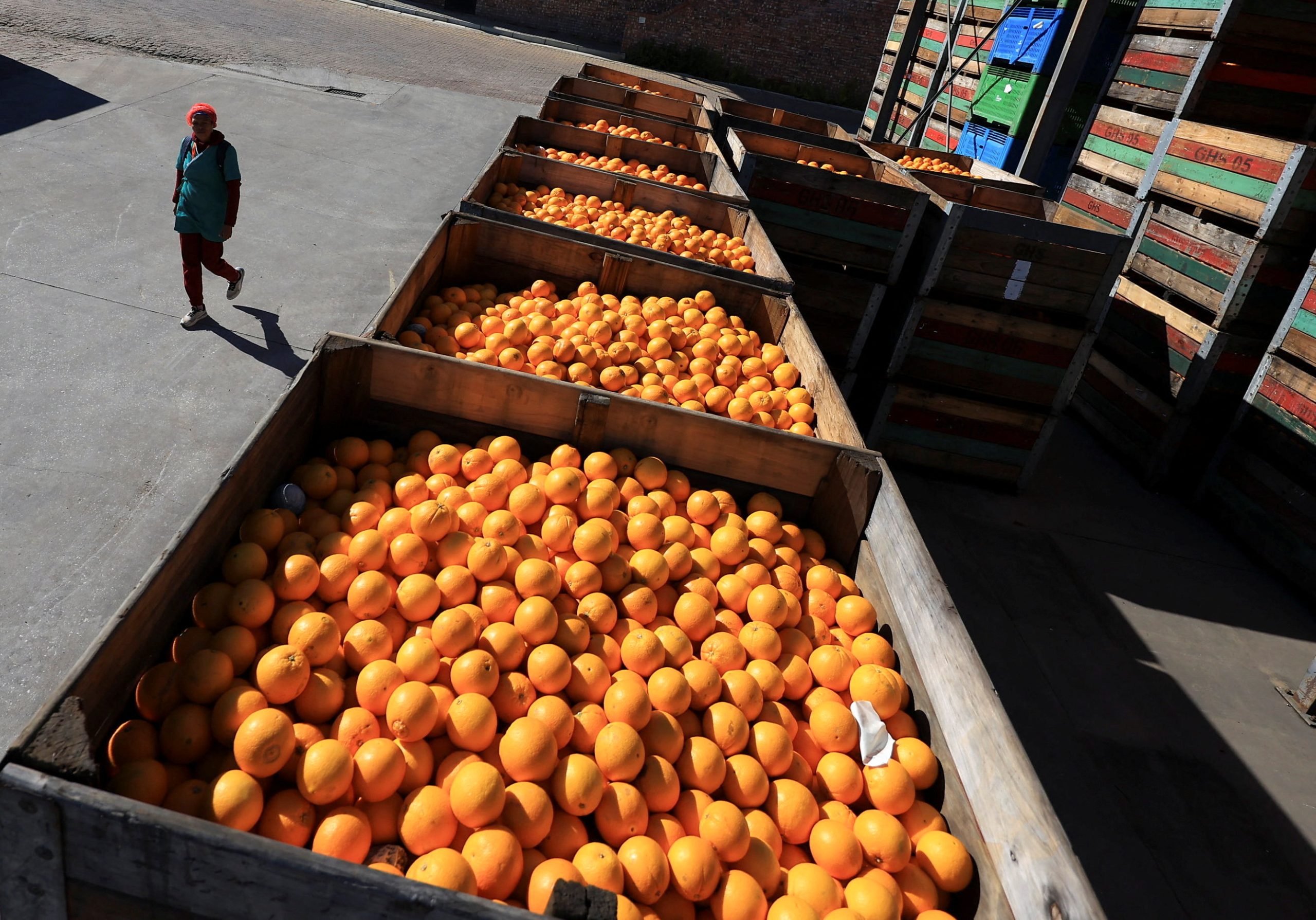 How South Africa overtook Spain to become the world’s citrus export leader
