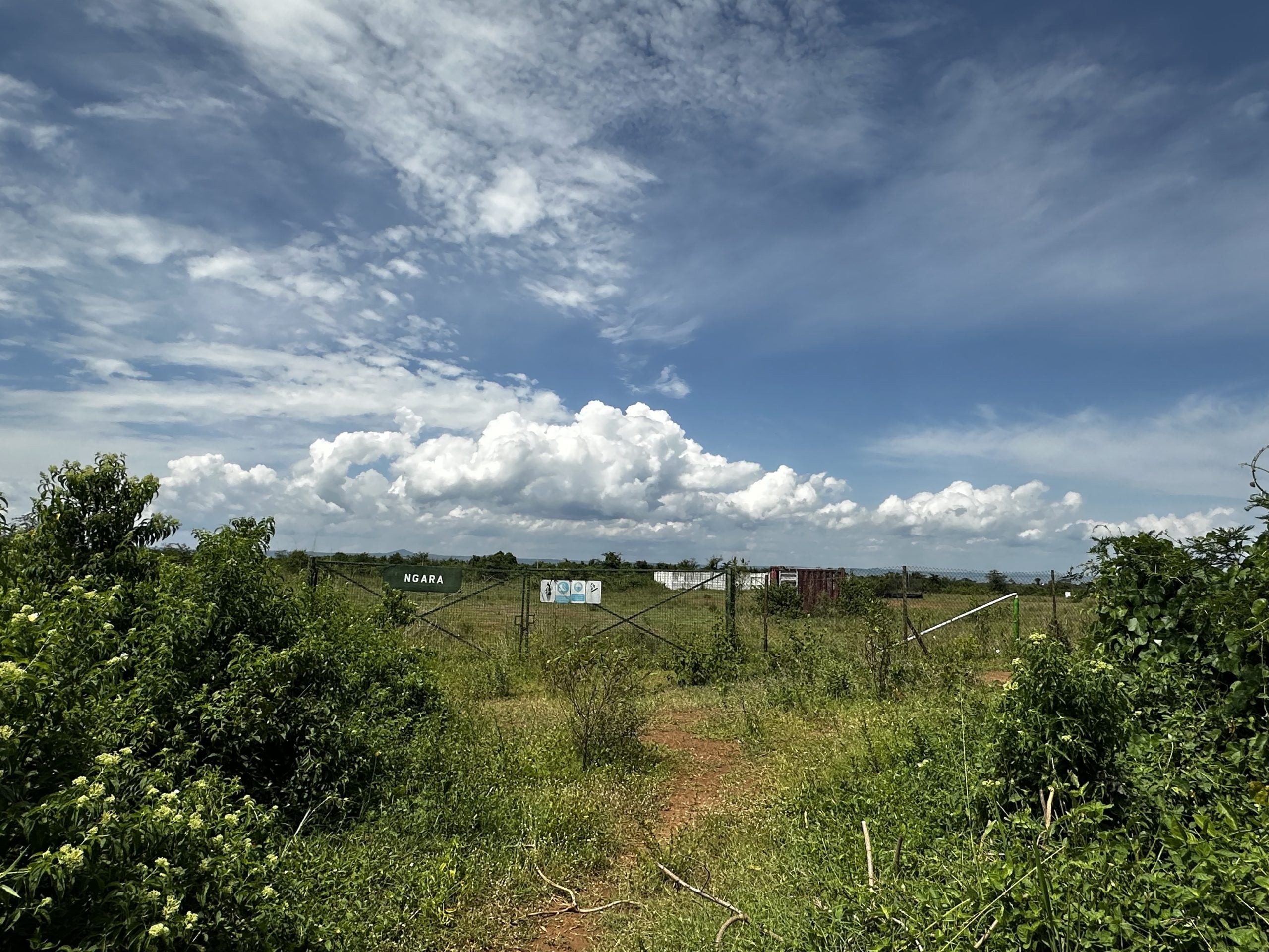 ‘Oil is a curse’: Villages in Uganda face land ownership uncertainty