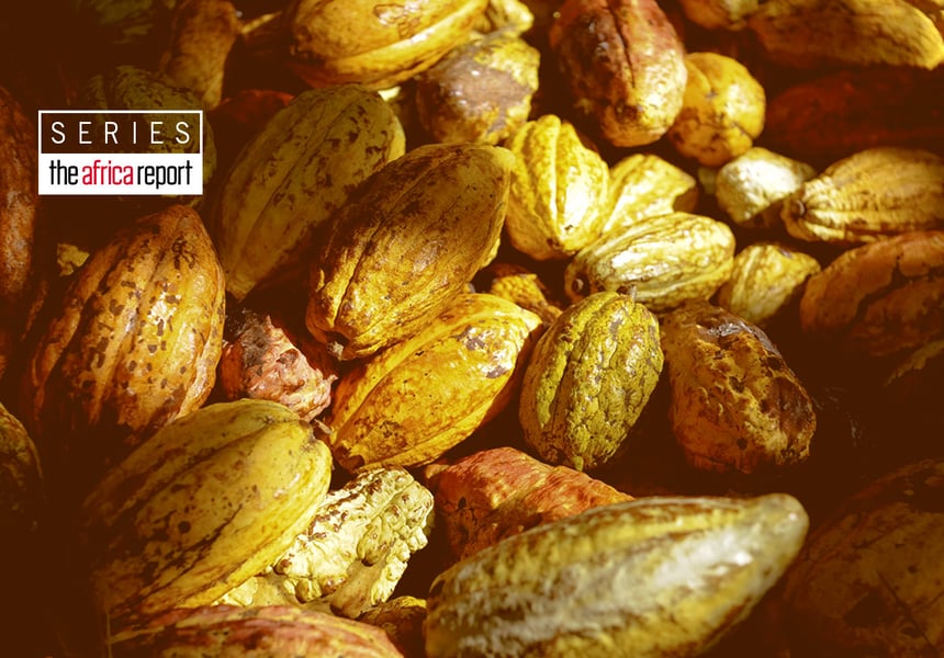 Cocoa War: Farmers vs multinationals