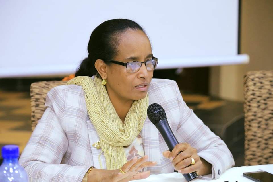 Ethiopia: 10 things to know about TPLF’s Fetlework Gebregziabher