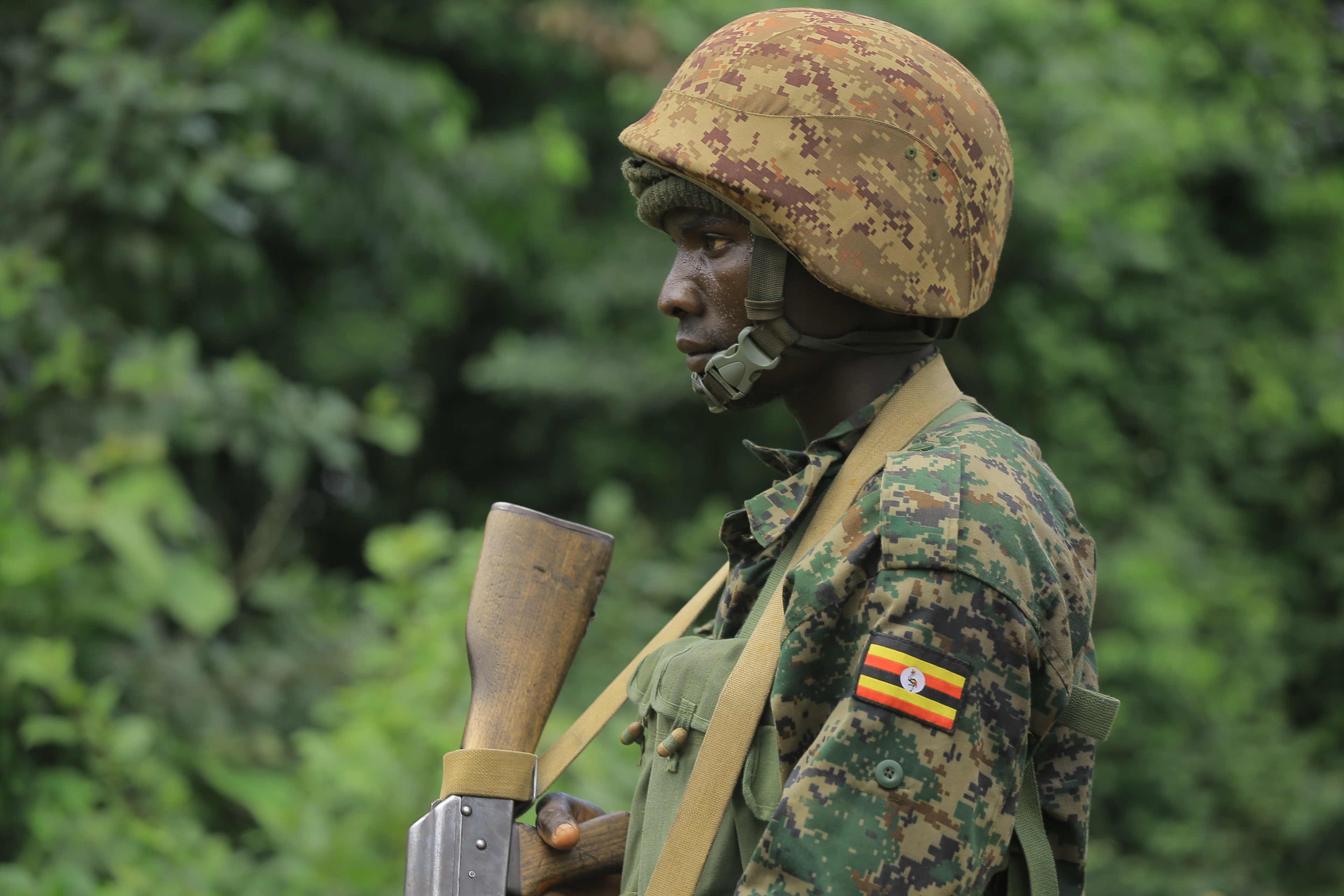 DRC/Uganda: After 2.5 years of hunting the ADF, what have the armies achieved? - Vimarsana News